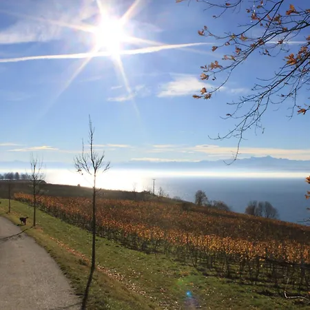 Garni Eden Hotel Meersburg