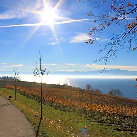 Garni Eden Hotel Meersburg