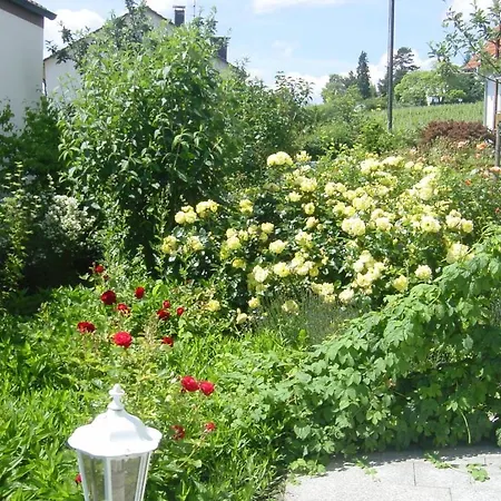 Garni Eden Ξενοδοχείο Meersburg