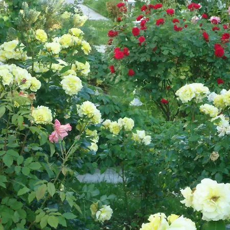 Ξενοδοχείο Garni Eden