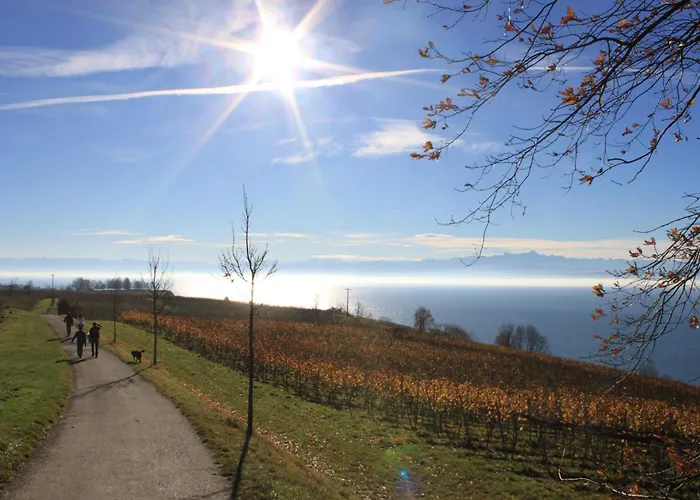 Garni Eden Hotel Meersburg
